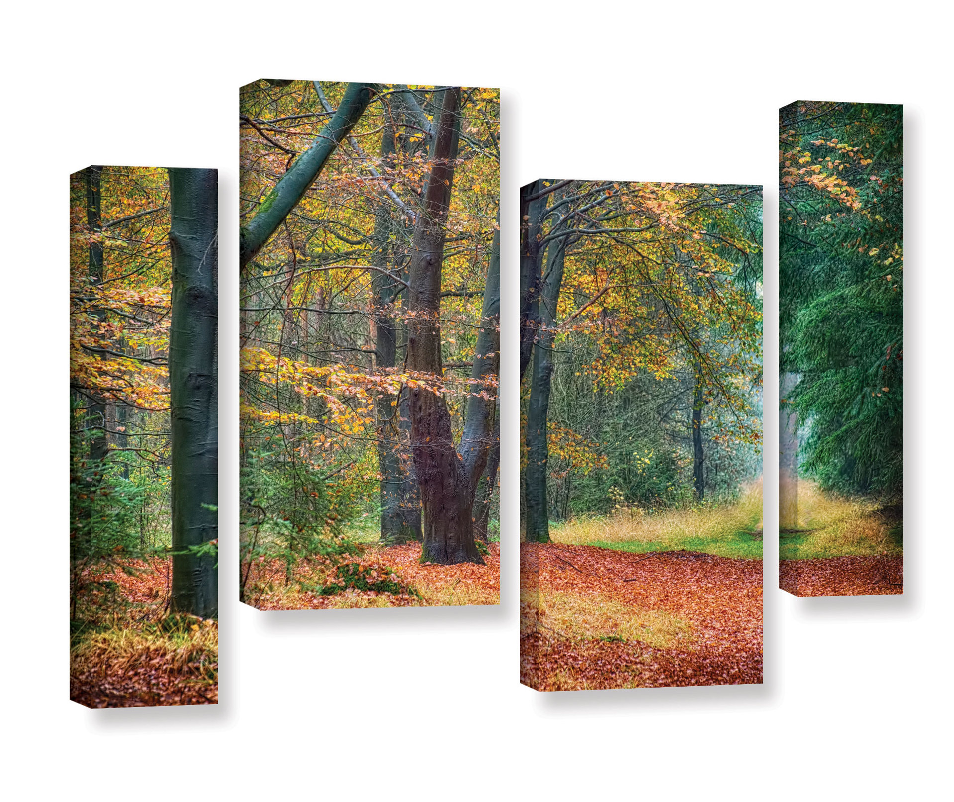 Millwood Pines Autumn Light 4 Piece Photographic Print on Wrapped ...
