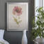 Soft Poppy - peinture sur toile encadrée-864990605-864990603