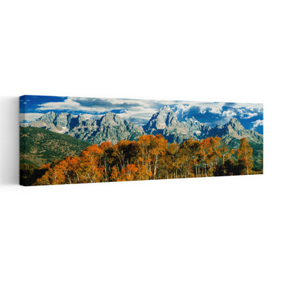 Aspen Trees in a Forest, Teton Range, Parc national de Grand Teton, Wyoming, États-Unis, art contemporain de paysage forestier abstrait