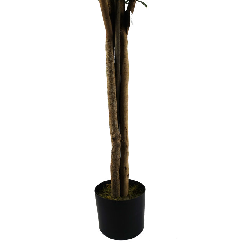 120Cm Tree