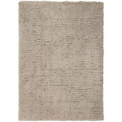 Nickales Oriental Indoor Rug