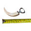 Ouvre-bouteille Warthog Tusk