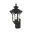 Lanterne murale d'extérieur H 19 po Lunar-602534125