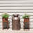 Auberge Rectangle Black Metal Indoor/Outdoor Elevated Planter Box Set of 2 - Brown - 20"-802213874-802213886