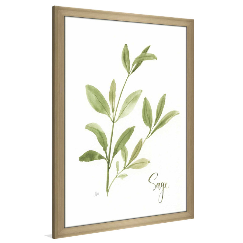 «Herb Sage» par Nan - Peinture, L 21,5 po x H 27,5 po, Encadrement brun
