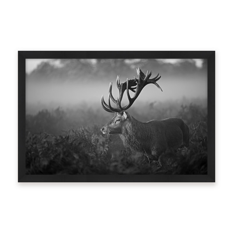Nature Inspired Sunny Morning by  - Picture Frame Photograph on Paper, 16" H x 24" W x 2.375" D, Framed Canvas, Black