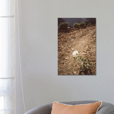 Yosemite Bloom III by Bethany Young - Print on Canvas