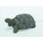 Turtle Statue