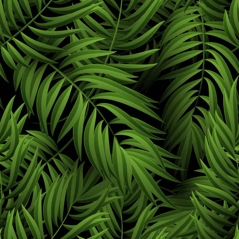 Tropical Jungle by -strizh- - Wrapped Canvas Print, 30cm H x 30cm W
