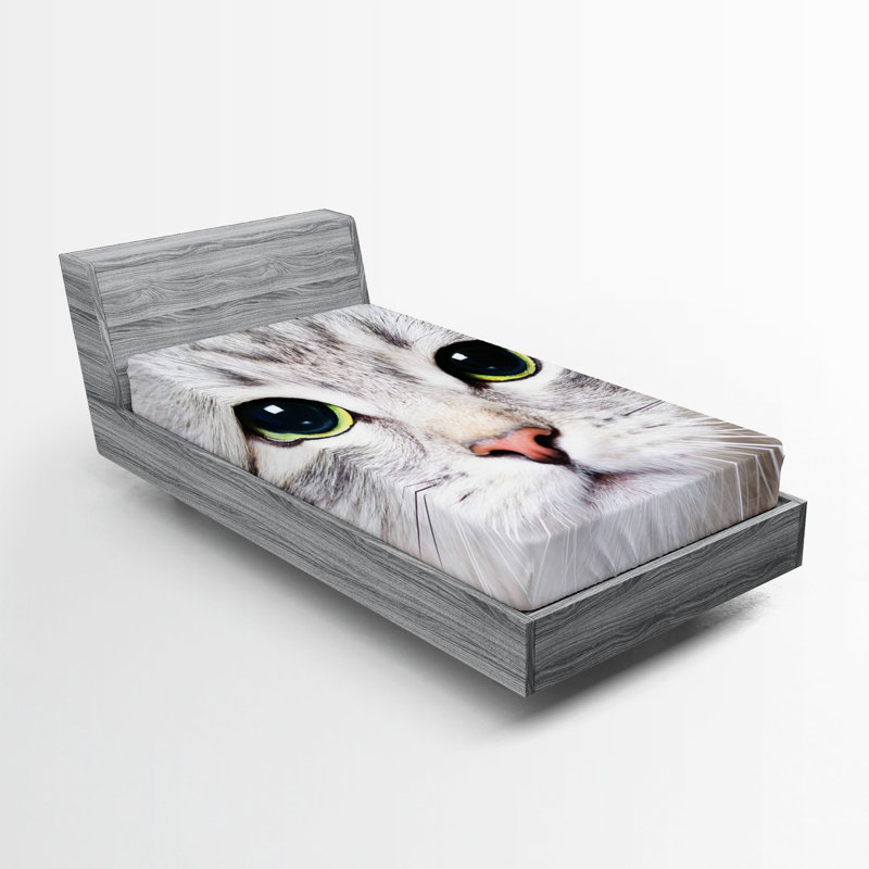 Multicolore Ambesonne, Drap-housse de taille simple