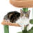 Berthy Cat Perch