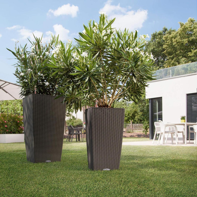 Cubico Pot Planter, 56 cm H x 30 cm W x 30 cm D, Mocha