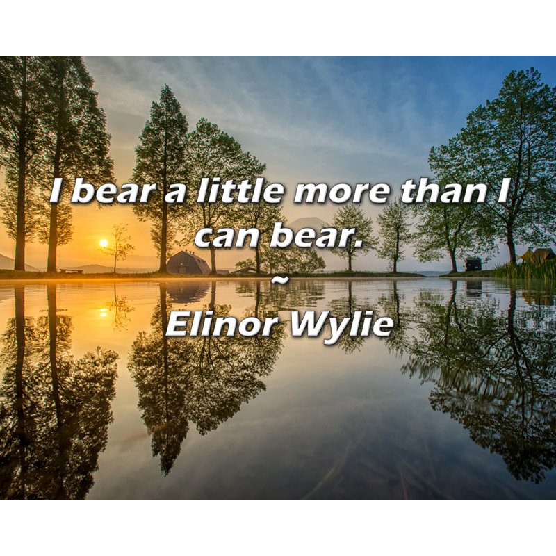 Elinor Wylie Citation: Je supporte un peu plus que je ne le supporte.