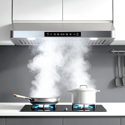 30"Stainless Steel Ducted/Ductless Under Cabinet Range Hood