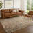 Machine Washable Indoor/Outdoor Matteson ACN2320 Global Rug-497976336