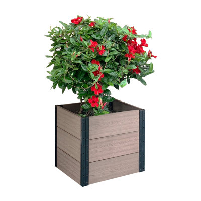 Raised Garden Bed