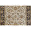 Wool Oriental Area Rug in Ivory