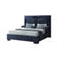 Lit Oscar-98545639-98545635