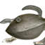 Tortue de mer - aluminium