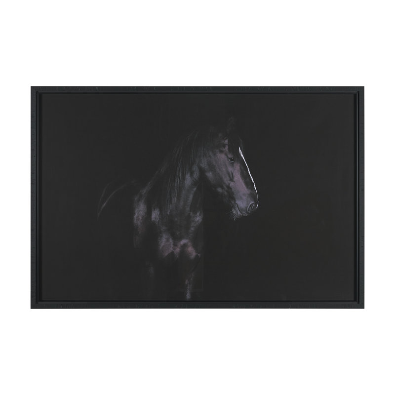 «Majestic Midnight» par Rehpoehler, reproduction de photo encadrée sous verre