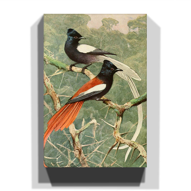 Wilhelm Kuhnert - Wrapped Canvas Painting, 60cm H x 40cm W
