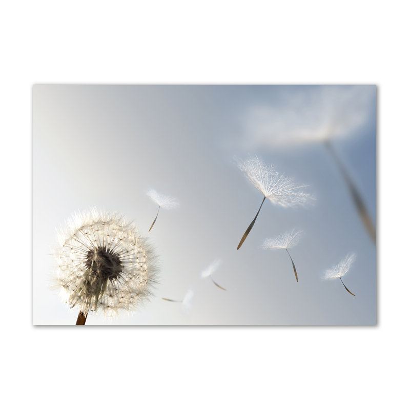 Dandelion - Wrapped Canvas Print