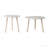 Set Of 2 Side Tables-17317355