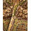 Classic One-of-a-Kind 7' 1" x 7' 1" Hand Knotted Area Rug