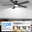 Ventilateur de plafond 52 pouces 52 pouces intérieur / extérieur intelligent avec lumières DEL, télécommande, commande vocale via Alexa, intensité variable, moteur à courant continu-241851668-241851670