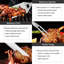 29Pcs BBQ Grill Tool Set For Dad, Heavy Duty Stainless Steel Grill Utensils Set