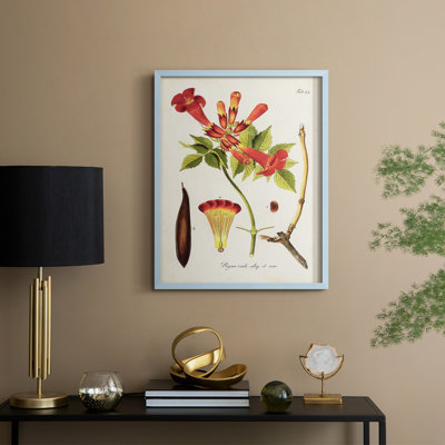 «Tropical Trumpet Flowers I», reproduction encadrée - bois massif