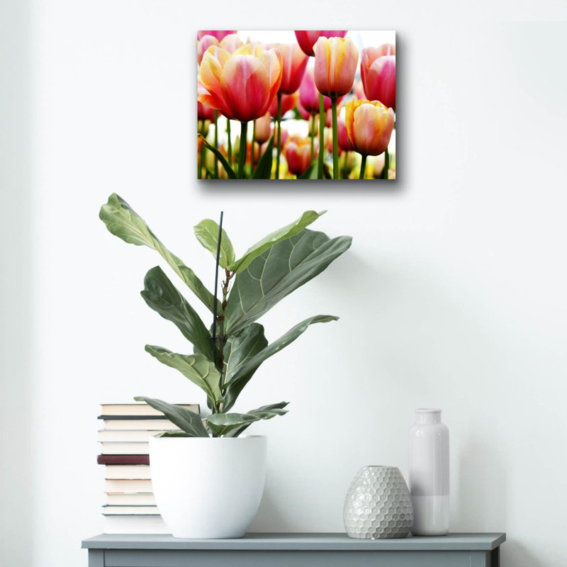 " Tulips " Print, 12" H x 16" W x 0.13" D