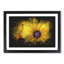 Yellow Coneflowers - Picture Frame Painting Print-56842444-56842445