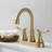 Modern Bathroom Sink Faucet with 2 Handles-120218800