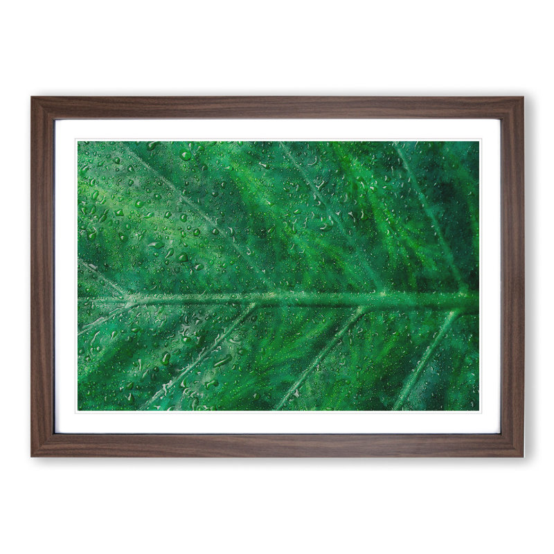 Green Leaf Pattern - Framed Print, 36cm H x 48cm W x 2cm D, Walnut Framed