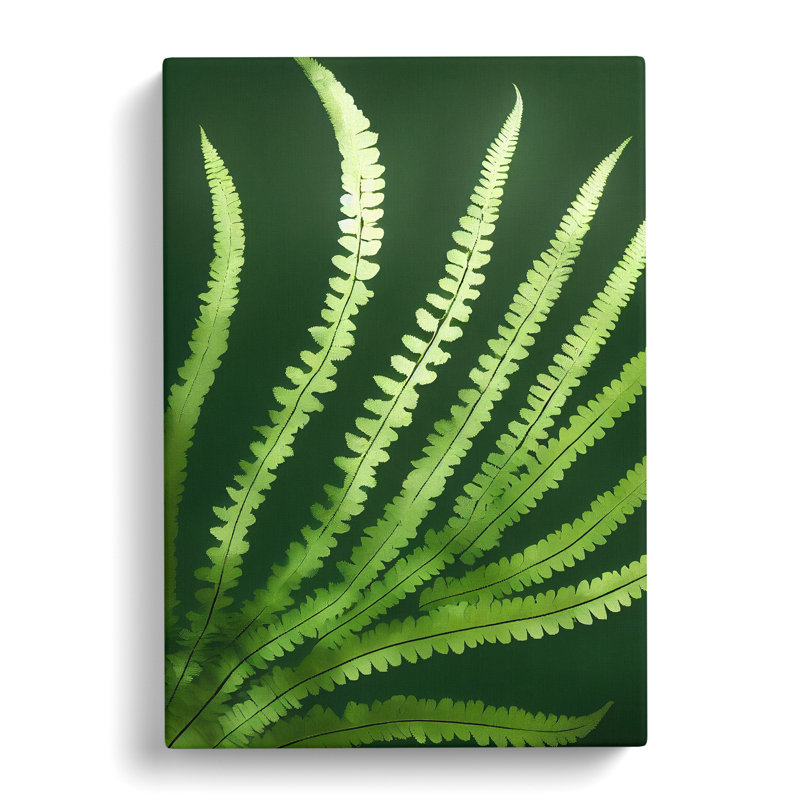 Talleyran Fern Leaf Beauty - Wrapped Canvas, 50cm H x 35cm W x 3cm D