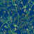 Bleu foncé
