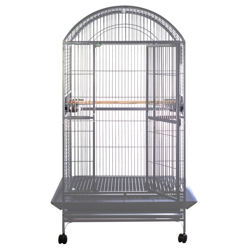 Grande cage supérieure en dôme platine, Platine