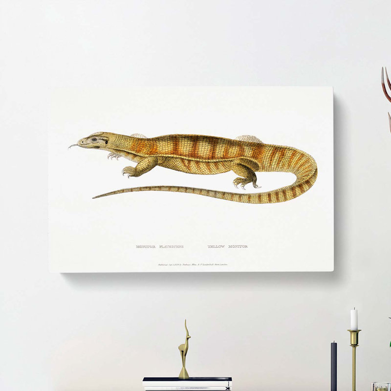 Yellow Monitor Lizard by John Edward Gray - Wrapped Canvas, 35cm H x 50cm W x 3cm D