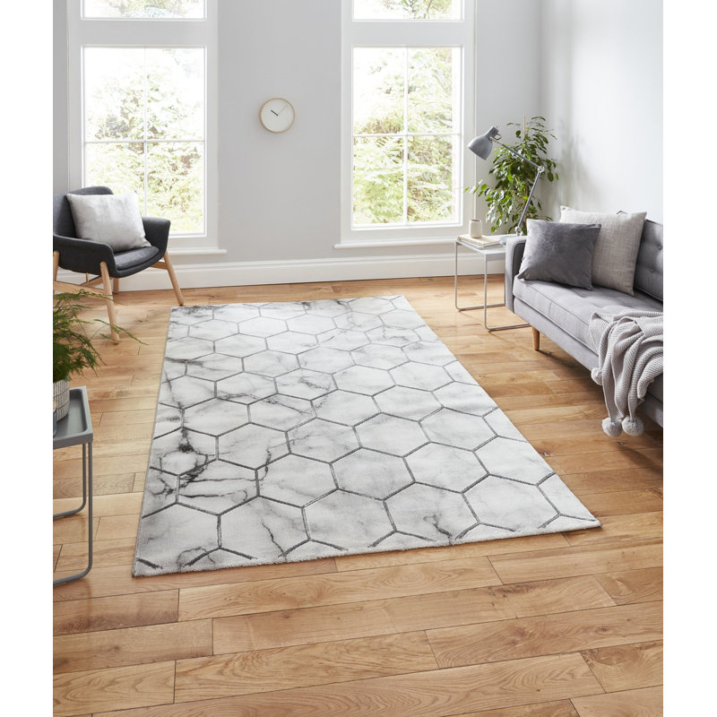 Amat area rug Machine Woven Rectangle Grey/Silver, Rectangle 120 x 170cm