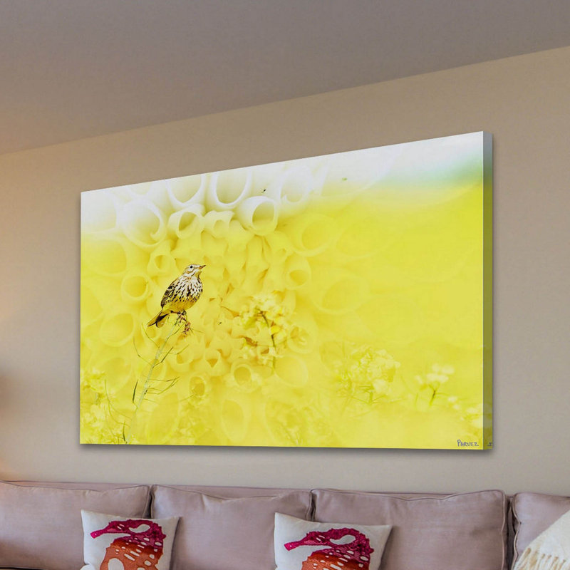 Parvez Taj - Wrapped Canvas Print, 30cm H x 45cm W