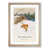 Oak Framed selected
