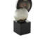Sculpture Cole and Grey