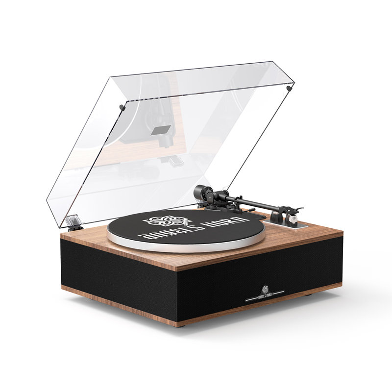 Platine et ceinture Hi-Fi Bluetooth