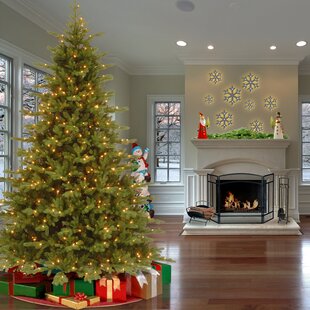 LED Lichterbaum mit 200 warm-weißen Lichtern beleuchtet, 150 cm hoch, die  Lichterzweige sind flexibel, Weihnachtsbaum mit Lichterkette : :  Beleuchtung