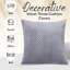 Chevron Square Cushion-119266316