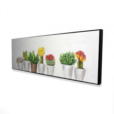" Small Cactus And Succulents "