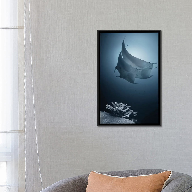 « sonata », impression sur toile, H 26 po x l 18 po x P 1,5 po, Toile avec cadre noir, Pas de tapis