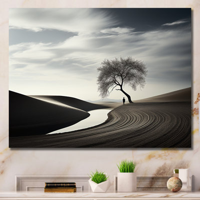 " Balck And White Solitude Tree "