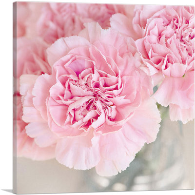 Œillet rose - reproduction de photo sur toile tendue